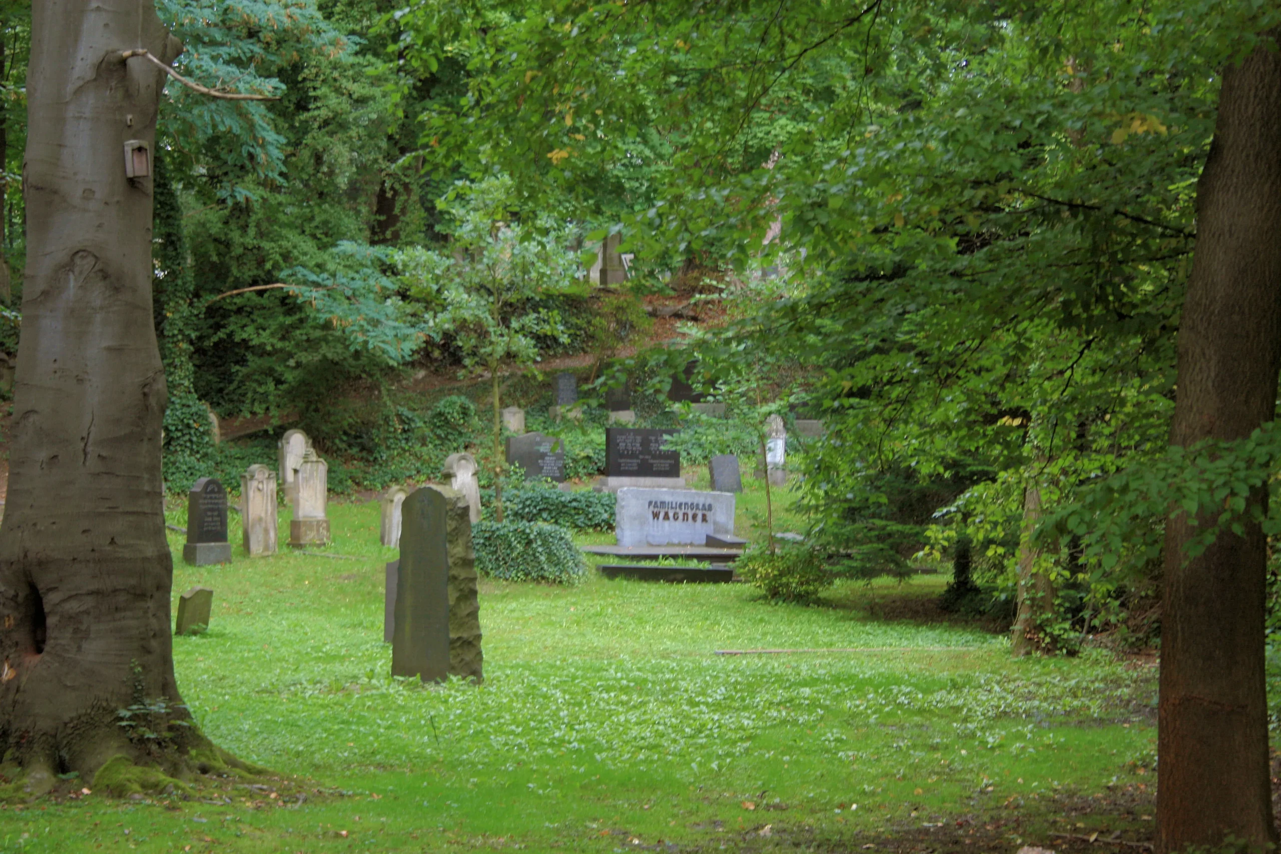 Jüdischer Friedhof in Siegburg